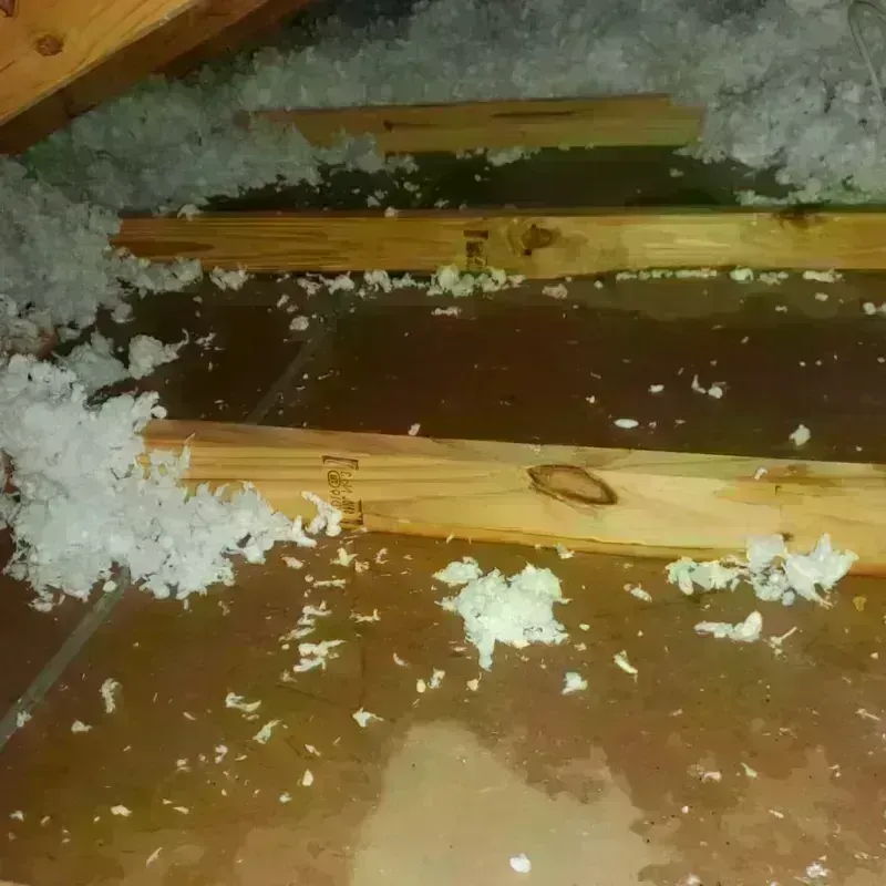 Attic Water Damage in Gillett, WI