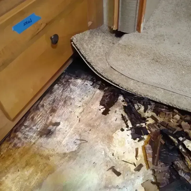 Best Wood Floor Water Damage Service in Gillett, WI